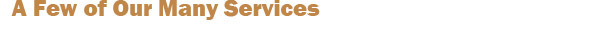 Our Services